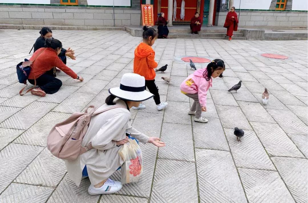 擁華之旅 | 跟著優(yōu)秀員工的步伐，游遍青海！(圖4)